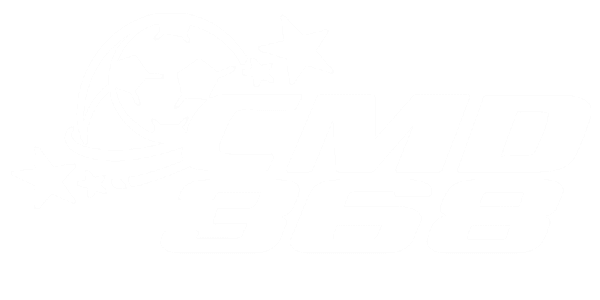 비자 카드 logo